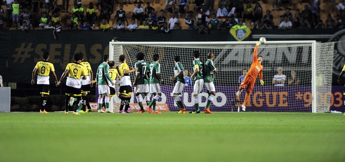 Fábio Palmeiras Criciúma (Foto: Marcos Ribolli/GloboEsporte.com)