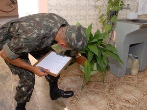 Militares começaram operação de combate ao Aedes aegypti (Foto: Divulgação/Exército Brasileiro)
