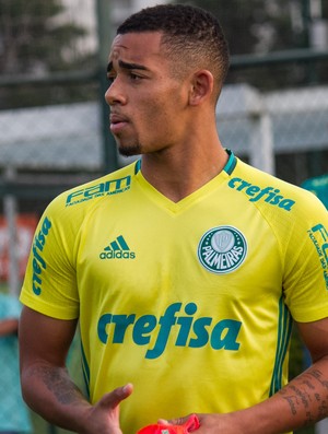 Gabriel Jesus Palmeiras (Foto: Ag Estado)