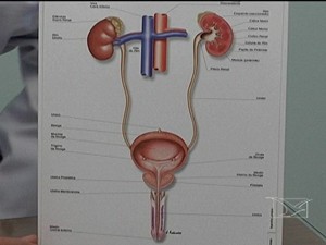 Câncer de próstata (Foto: Divulgação/Greenpeace)
