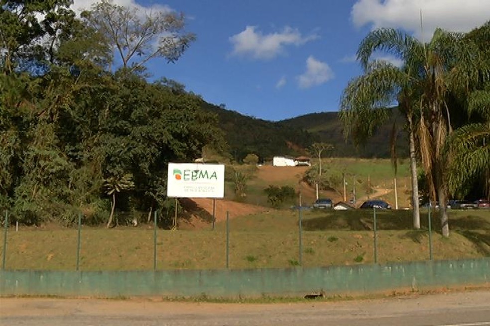 Bebê estava em saco de lixo recolhido pela empresa EBMA (Foto: Alex Almeida/InterTV)