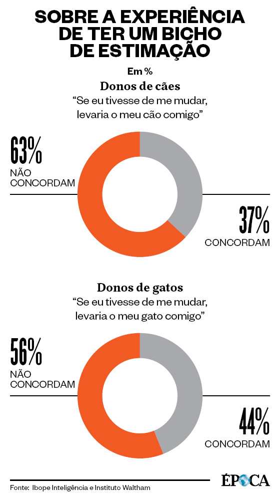 Sobre a experiência de ter um bicho de estimação  (Foto: Giovana Tarakdjian )