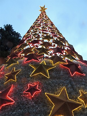 Árvore mais alta da decoração de Natal de Guararema tem 22 metros de altura (Foto: Jamile Santana/G1)