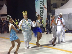Carnaval na Passarela do Samba Dráuzio da Cruz, em Santos (Foto: Orion Pires / G1)