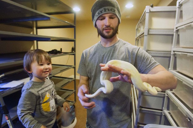 Thomas Cobb mantém 29 cobras em casa (Foto: Scott G. Winterton/The Deseret News/AP)