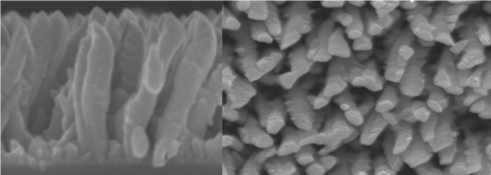 Vista lateral das nanocolunas de titânio que revestem implantes ósseos (Foto: Divulgação/CSIC)