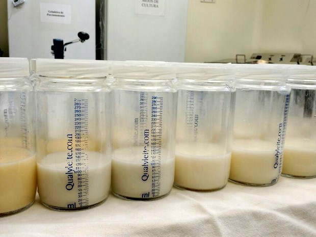 Potes com leite materno já pasteurizados passam por exames rigorosos em Campinas (Foto: Patrícia Teixeira / G1)