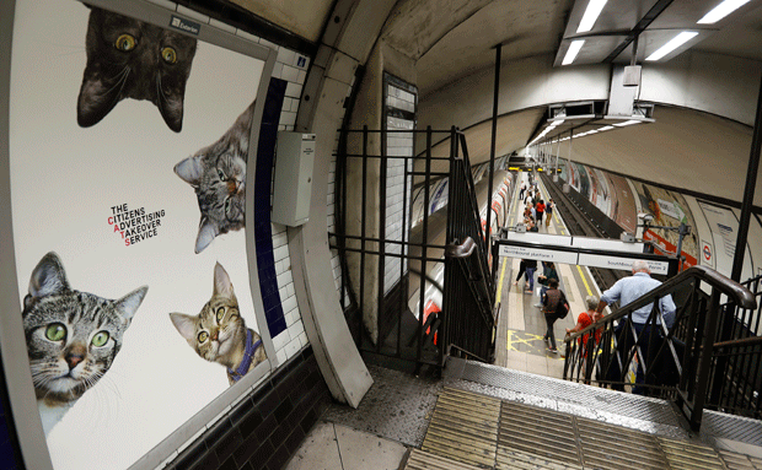Anúncios são trocados por fotos de gatos em estação de metrô de Londres (Foto: Frank Augstein/AP)