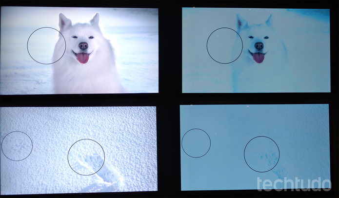 qled-vs-oled (Foto: Viviane Werneck/TechTudo)
