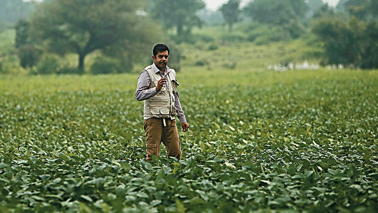 india_agricultura_comercio (Foto: Albari Rosa)