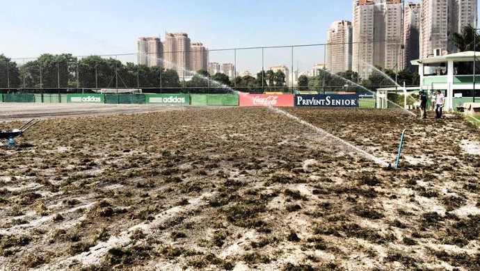 Campo da Academia ganha mesma grama usada na arena do Palmeiras