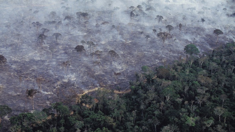 amazonia-fogo-incendio-floresta (Foto: Getty Images)