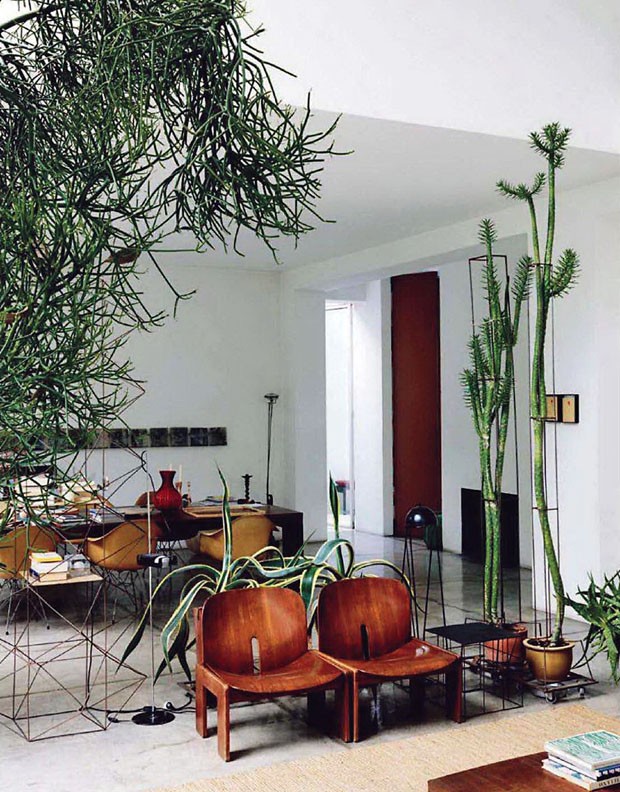 Décor do dia: cactos e suculentas na sala de estar (Foto: Divulgação/ The Secret Garden)