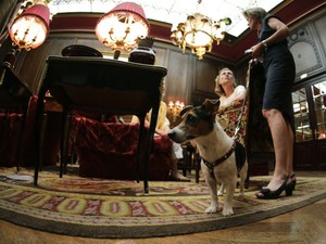 Cães podem passear no lobby, mas sempre de coleira (Foto: Leonhard Foeger/Reuters)