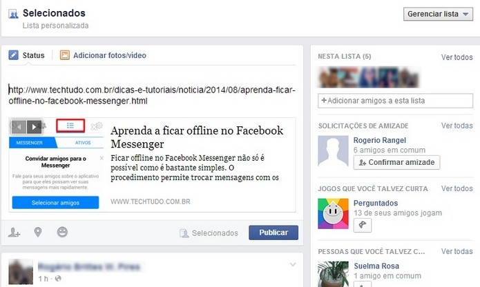 Função Lista de amigos do Facebook não foi bem aceita pelos usuários (Foto: Reprodução/Raquel Freire)