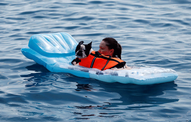 Croácia ganha praia e bar para cachorros (Foto: Antonio Bronic/Reuters)