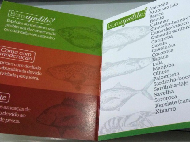 Guia irá auxiliar consumidores na hora da compra do pescado (Foto: Rodrigo Martins/ G1)
