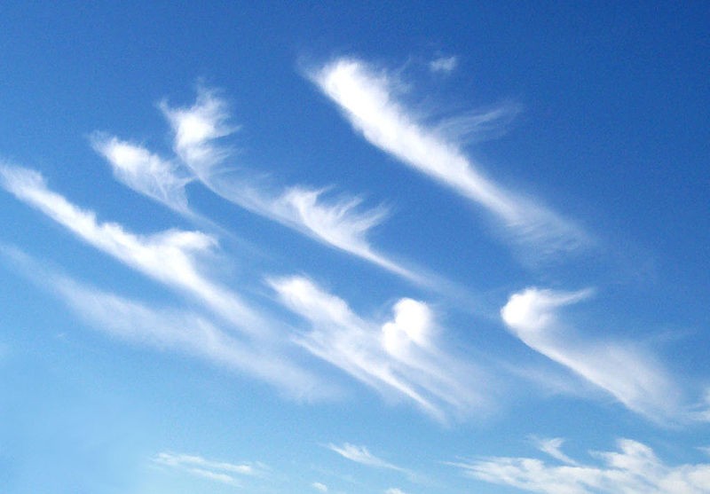 Nuvens do tipo cirrus (Foto: Wikimedia Commons)