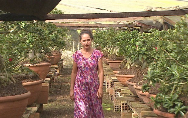 Tereza Cordeiro vende rosas do deserto em feiras e pela internet (Foto: Bom Dia Amazônia)