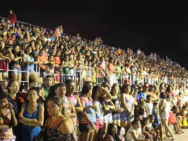 Público lotou as arquibancadas no corredor da folia em Parnaíba (Foto: Ellyo Teixeira/G1)
