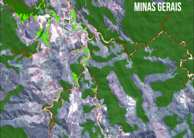 Mapa da região de Mariana, Minas Gerais, mostra os remanescentes de Mata Atlântica destruídos pela lama da Samarco (Foto: SOS Mata Atlântica)