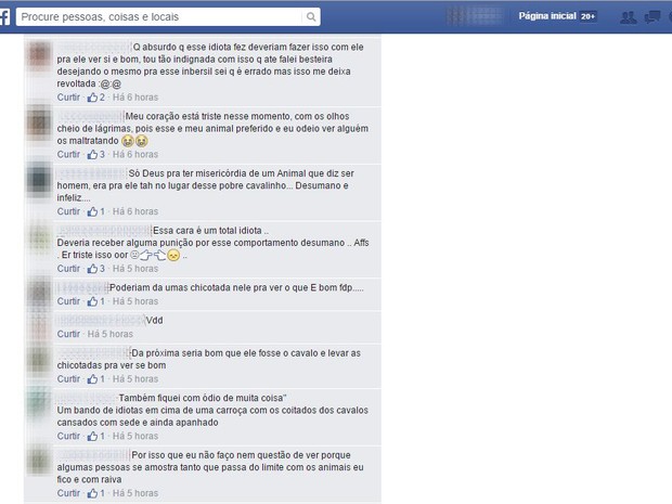 Internautas ficaram revoltados com a atitude do dono do animal e fizeram críticas na página do Facebook (Foto: Reprodução/Facebook)