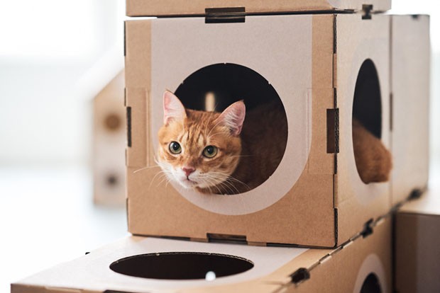 Sistema modular permite montar uma verdadeira cidade para o seu gato (Foto: Divulgação)