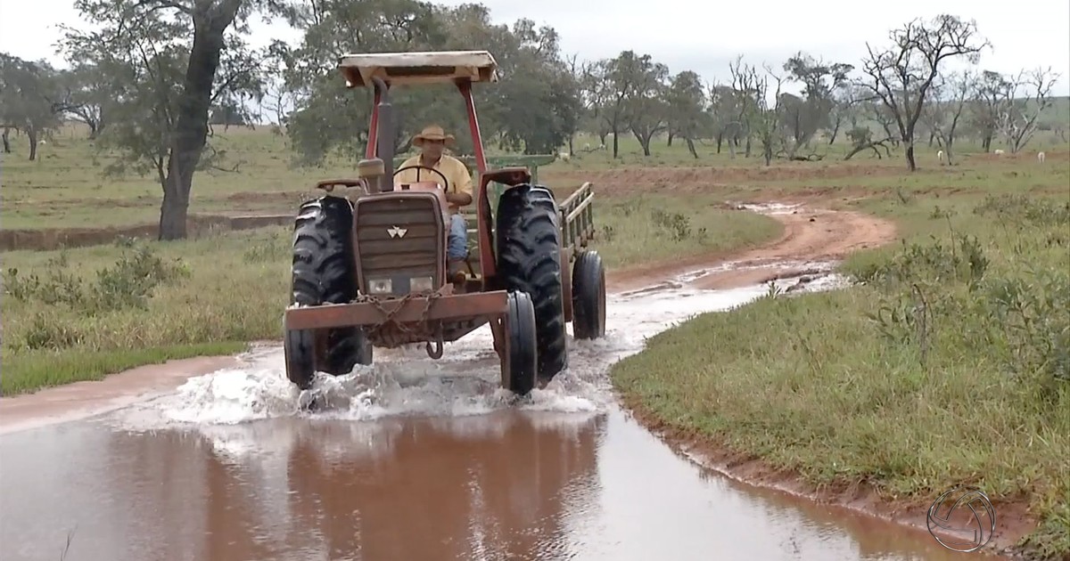 G1 Tacuru, MS, decreta emergência devido estragos causados pela chuva notícias em Mato