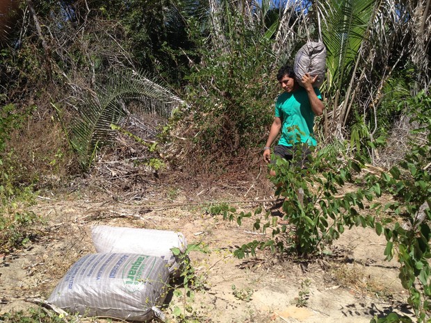 Alguns sacos com a maconha estavam enterrados na mata da fazenda (Foto: Catarina Costa/G1)