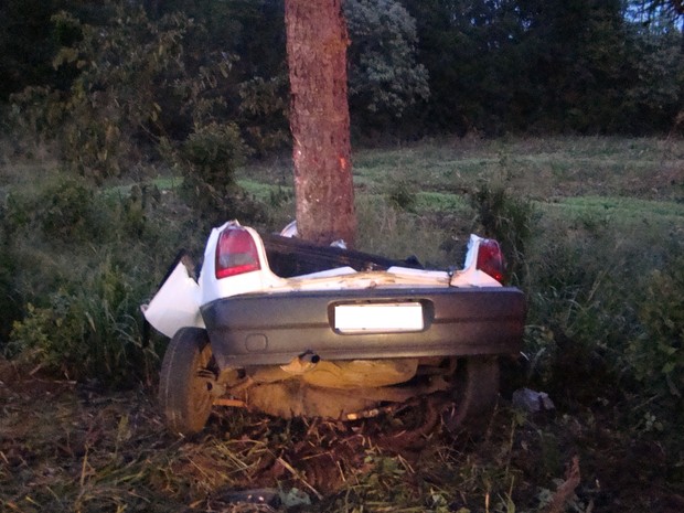 Gol bateu em árvore na madrugada deste domingo (15) (Foto: PMRv/Divulgação)