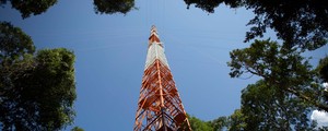 FOTOS: torre de 325 m é erguida na Amazônia para estudos ambientais (Bruno Kelly/Reuters)