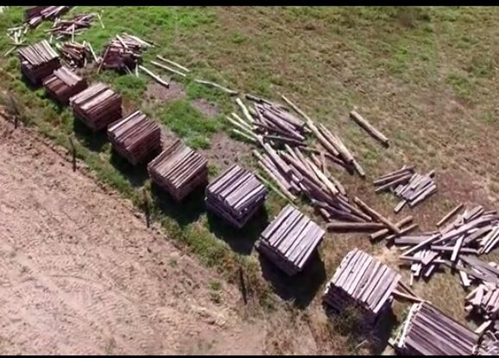 Drone flagrou madeira retirada do Parque Estadual Serra de Ricardo Franco (Foto: MPE/MT)