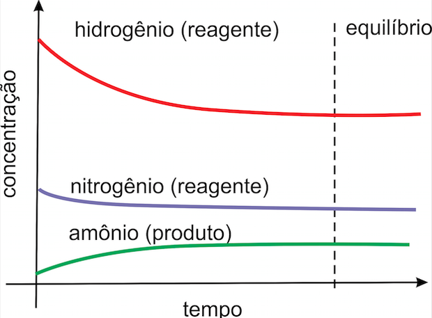 No equilíbrio, as concentrações de produtos e reagentes são constantes (Foto: Wikicommons)