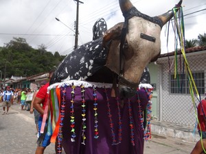 O boi, principal atração da festa, chamou a atenção pelo colorido.  (Foto: Natália Souza/G1)