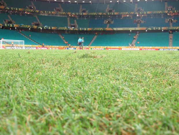 Arena Fonte Nova gramado (Foto: Richard Souza)