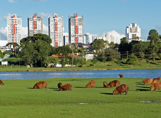 Parque Barigui (Foto: Wikimedia Commons)