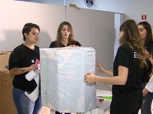 Protetoras produzem casinhas de cachorro a partir de papelão doado em Porto Ferreira (Foto: Reginaldo dos Santos/EPTV) Protetoras produzem casinhas de cachorro a partir de papelão doado em Porto Ferreira (Foto: Reginaldo dos Santos/EPTV)