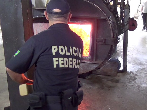 Polícia Federal incinerou 1.060 quilos de drogas nesta quinta-feira (25) (Foto: Divulgação/PF)