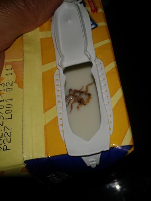 Sogra de leitor encontra inseto dentro de caixa de leite em Taboão da Serra, na Grande São Paulo (Foto: Jefferson Alcantara Queiroz/VC no G1)