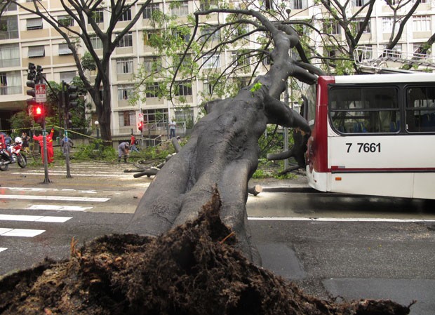 Trânsito era ruim na região (Foto: Guilherme Tossetto/G1)