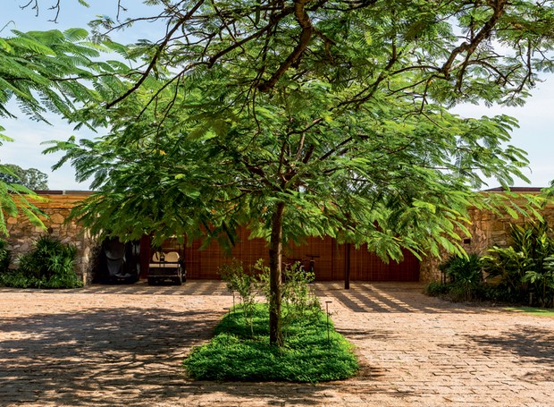 Garagem | Logo em frente à casa, já havia alguns exemplares de flamboyant. Para unificar o visual, já que não há muros ou portão, Gil plnatou mais um exemplar no canteiro de entrada com forração de grama-amendoim (Foto: Edu Castello/Editora Globo)