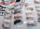 Camundongos congelados são interceptados (Wagner Morente/Prefeitura de Limeira)