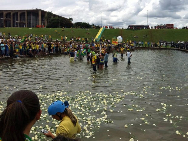 Manifestantes atiram rosas no espelho d'água em frente ao Congresso Nacional (Foto: Mateus Rodrigues/G1)