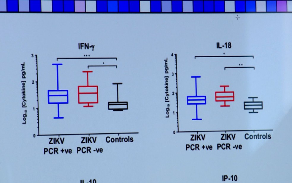 Marcadores analisados na pesquisa sobre zika, da Unicamp em Campinas (Foto: Reprodução / EPTV)