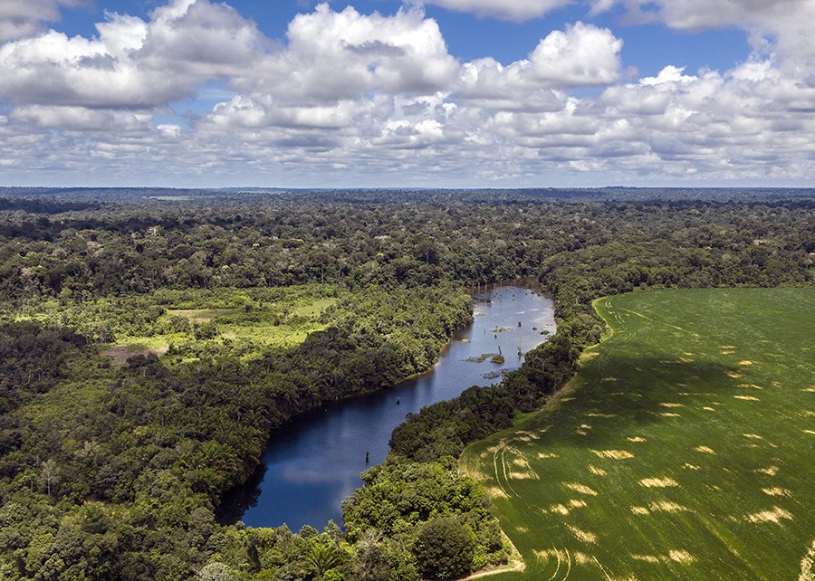 Na foto, rio cercado por paisagens diversas. O site traz informações didáticas sobre os biomas tropicais terrestres e marinhos no planeta (Foto: Divulgação/Embrapa)