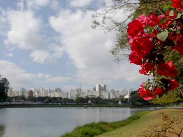  Árvores e plantas floridas são vistas no Parque do Ibirapuera, na zona sul de São Paulo. A Primavera começou nesta segunda-feira (Foto: Ale Frata/Agência O Dia/Estadão Conteúdo)