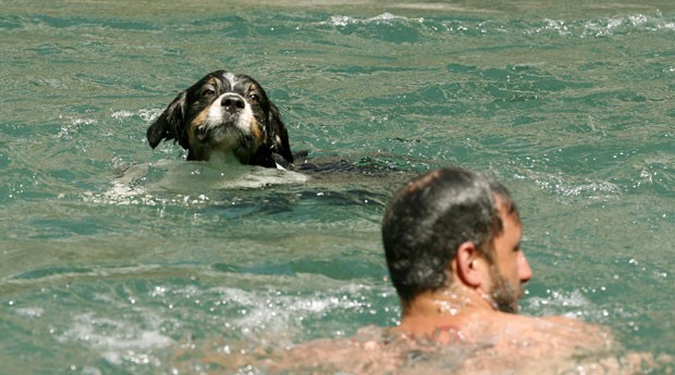 Geddon e Simon Smit nadam no rio Limmat, no sábado (27), na cidade de Zurique (Foto: Arnd Wiegmann/Reuters)