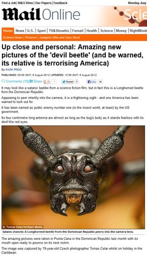 Fotografo Tcheco Faz Imagens De Besouro Diabo Na America Central Natureza G1