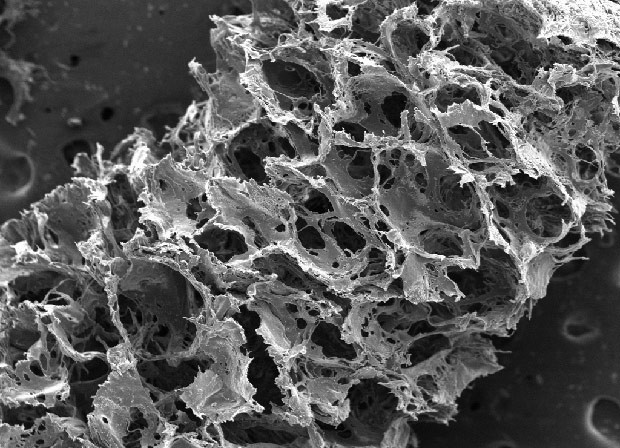 Imagem feita com microscópio eletrônico mostra estrutura feita com proteína de seda que serve de base para tecido que imita cérebro (Foto: Tufts University/Divulgação)