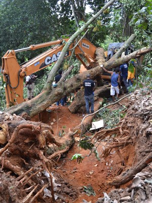 Árvore cai e mata operário em seu primeiro dia de trabalho durante obra realizada no Bairro de Valeria em Salvador (BA) (Foto: Romildo de Jesus/Futura Press/Estadão Conteúdo)